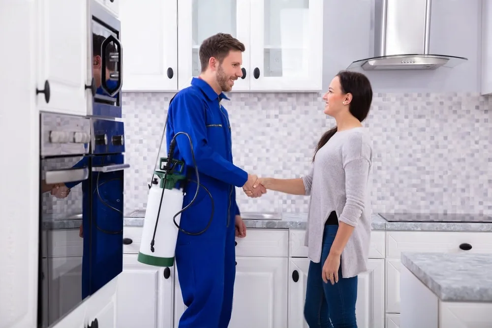 Pest Control Experts - Martinez Best Pest Pros | Martinez, CA