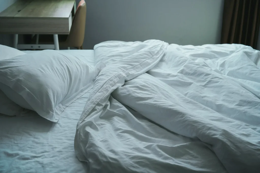 Signs of a Bed Bug Infestation - Martinez Best Pest Pros | Martinez, CA