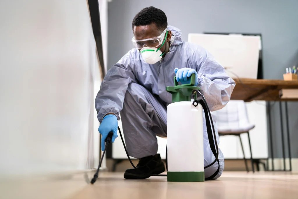 Trusted Pest Control - Martinez Best Pest Pros | Martinez, CA